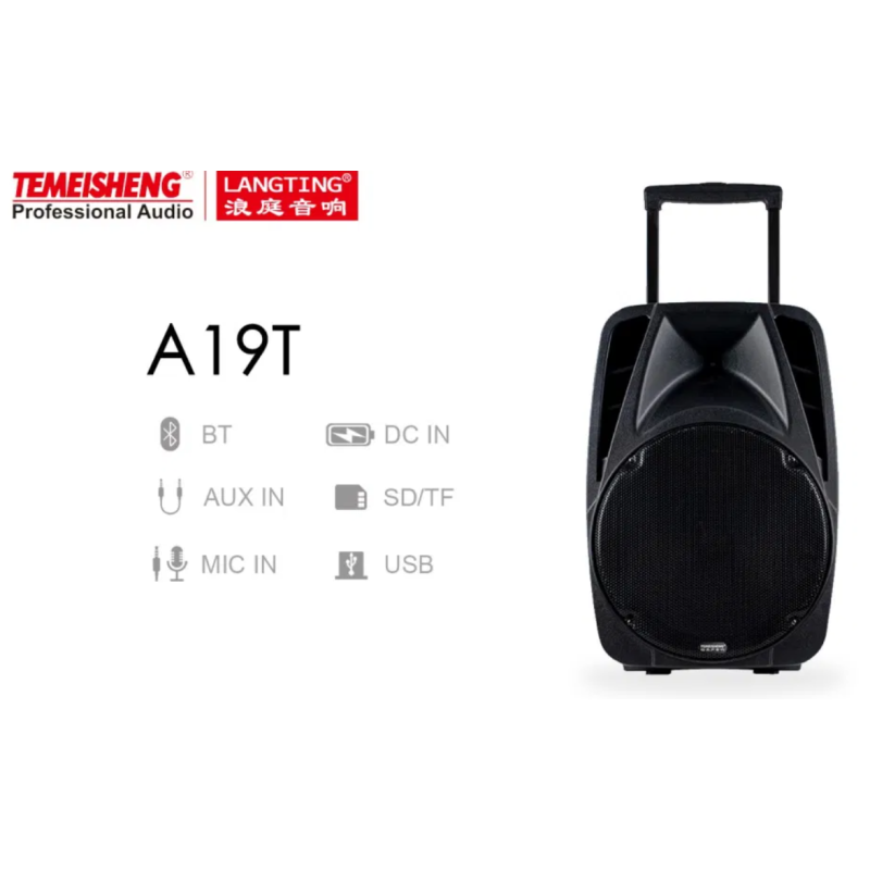 Temeisheng A19T bluetooth колонка 12“ два мікрофони