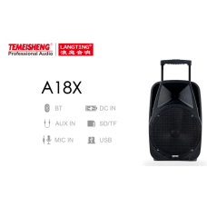 Temeisheng A18X bluetooth колонка 12“ два мікрофони