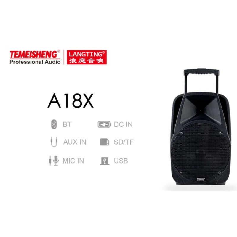 Temeisheng A18X bluetooth колонка 12“ два мікрофони