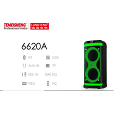 Temeisheng 6620A bluetooth колонка 2*6.5“ два мікрофони