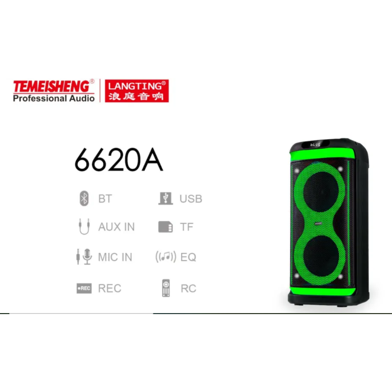 Temeisheng 6620A bluetooth колонка 2*6.5“ два мікрофони