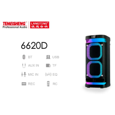 Temeisheng 6620D bluetooth колонка 2*6.5“ два мікрофони