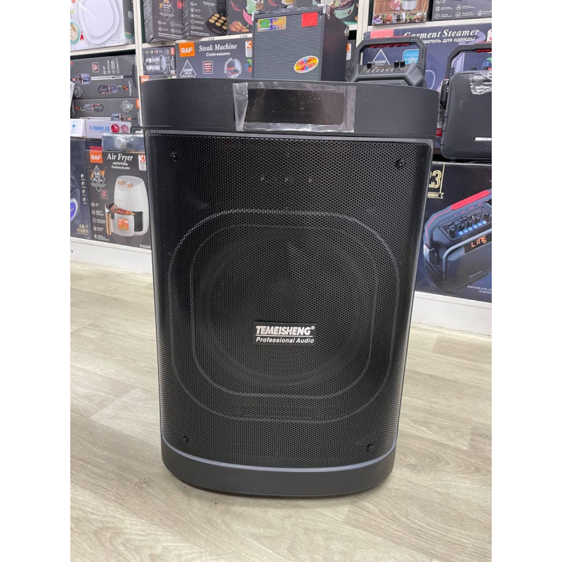Temeisheng 1221 динамік 12“ 2мікрофони 80W