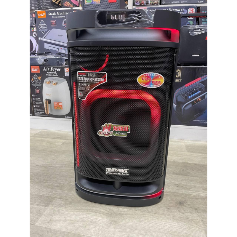 Temeisheng 10291 динамік 10“ 2мікрофони 80W