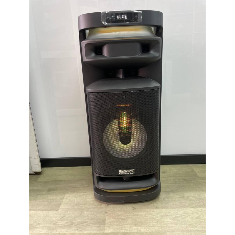 Temeisheng 1028E динамік 10“ 2мікрофони 60W