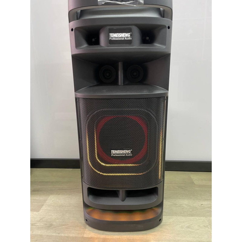 Temeisheng 10301 динамік 10“ 2мікрофони