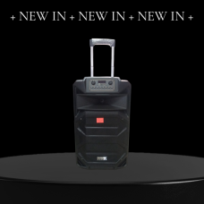 Temeisheng SL 15-31T динамік 15“ 2 мікрофони 240 Вт