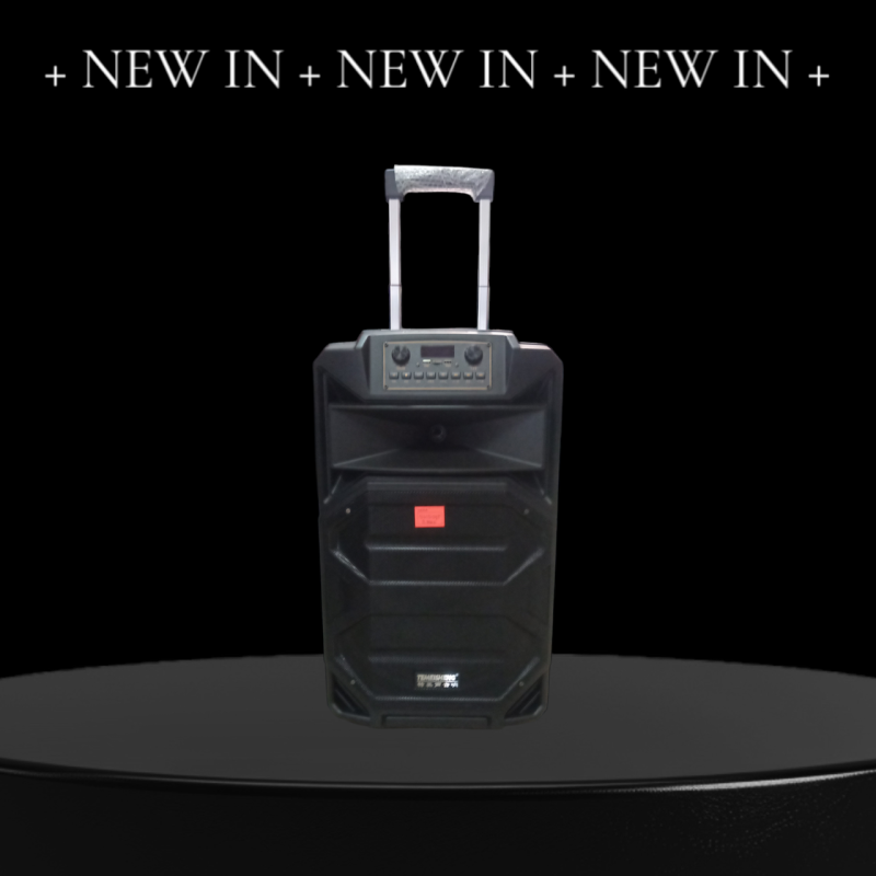 Temeisheng SL 15-31T динамік 15“ 2 мікрофони 240 Вт