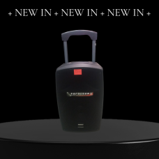 Temeisheng SL 12-32 динамік 12“ 2 мікрофони