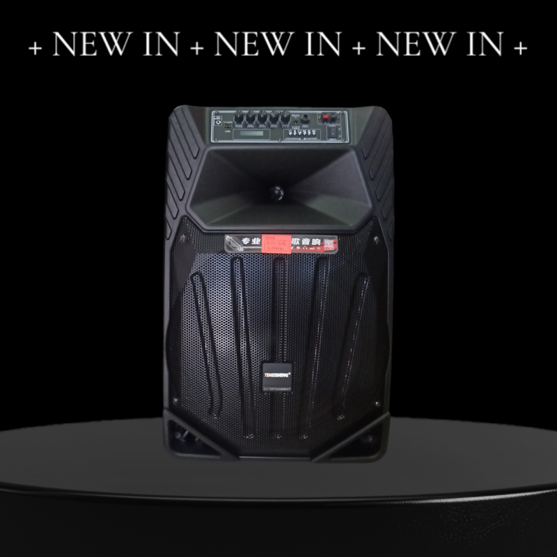 Temeisheng A15-36 динамік 15“ 2мікрофони 120W